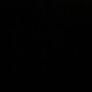 Meet your Posher, Caitlin